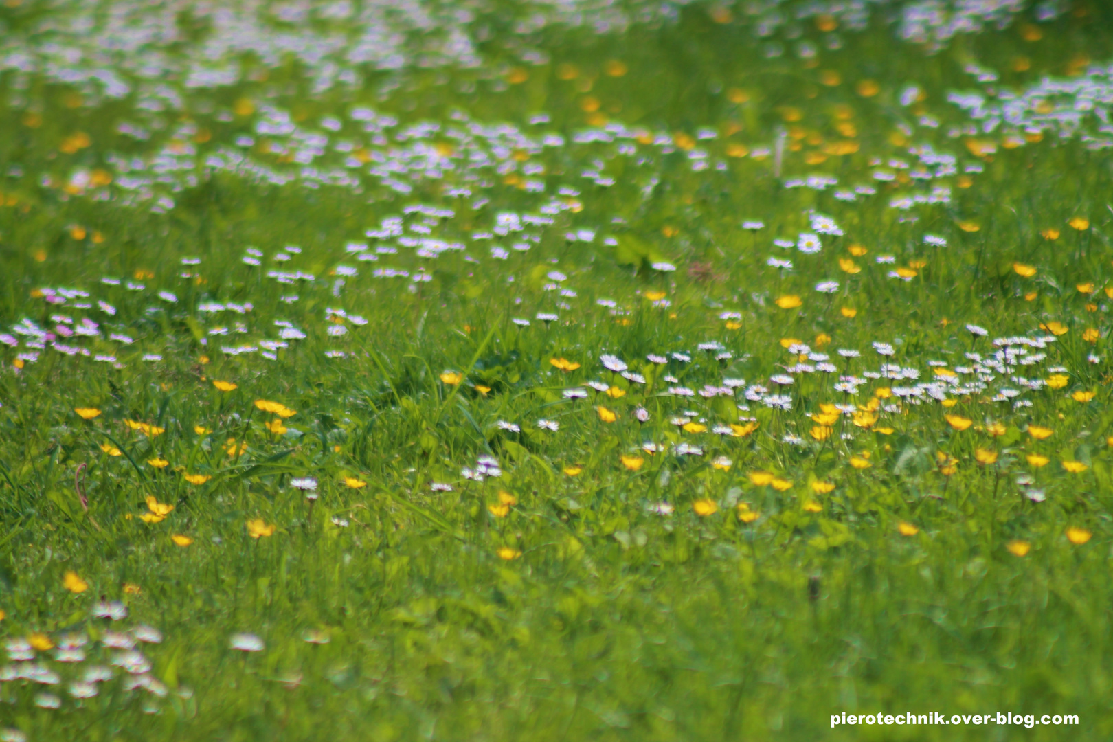 Impressionnant jardin impressionniste.