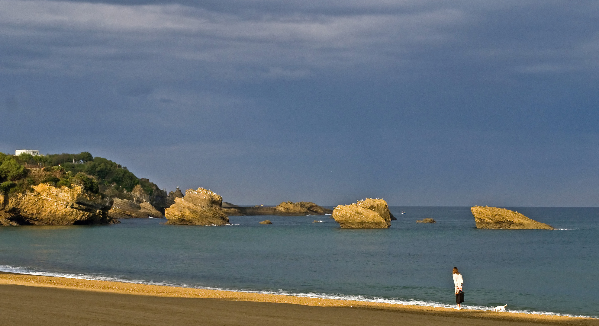 Impressions de Biarritz 21 -- La dame au petit chien blanc face à la mer.