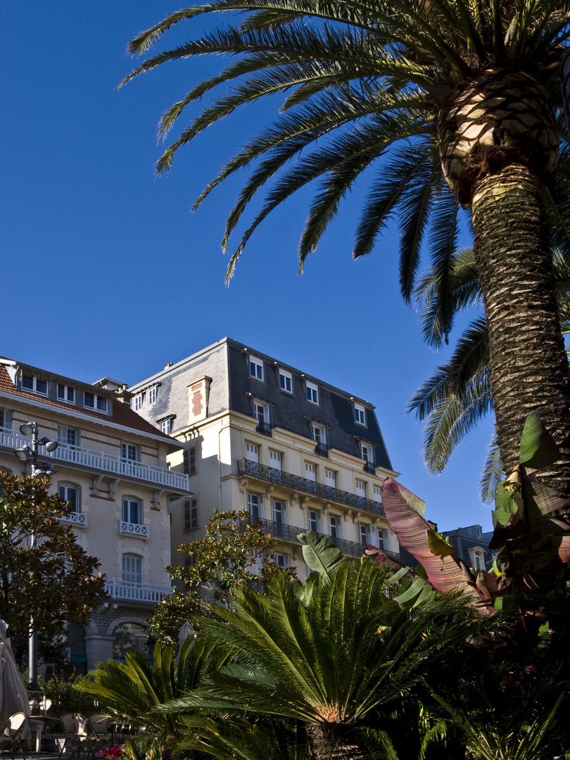 Impressions de Biarritz 22 -- Ambiance presque tropicale dans la rue Gambetta