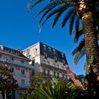 Impressions de Biarritz 22 -- Ambiance presque tropicale dans la rue Gambetta