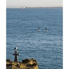 Impressions de Biarritz 28 -- Embarcations légères et lourde dans la baie…