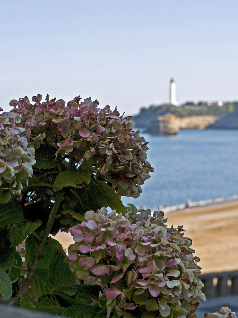 Impressions de Biarritz 47 -- Fin de saison, fin de séjour