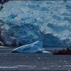 Impressions of Antartica  -  Motiv  vom  Weltenbummler