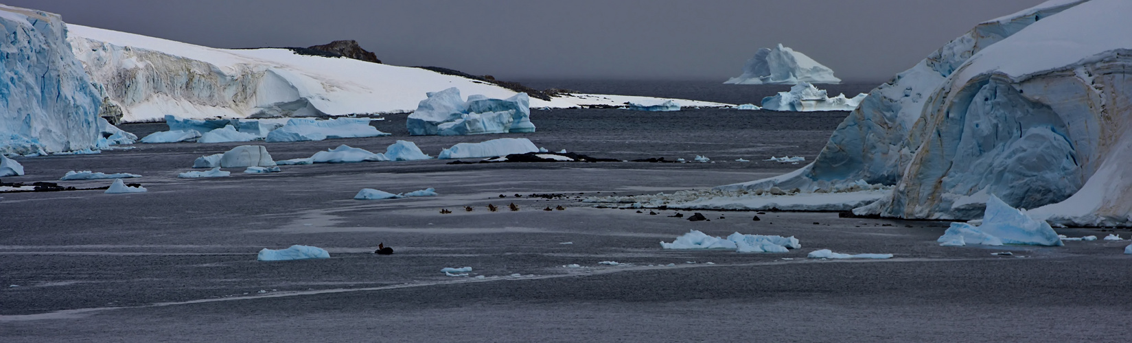 Impressions of Antartica  -  Motiv vom Weltenbummler