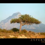 Impressions of Cyprus (3)