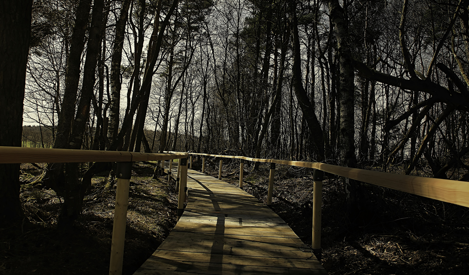 Impressions of Moore - Schopflocher Moor