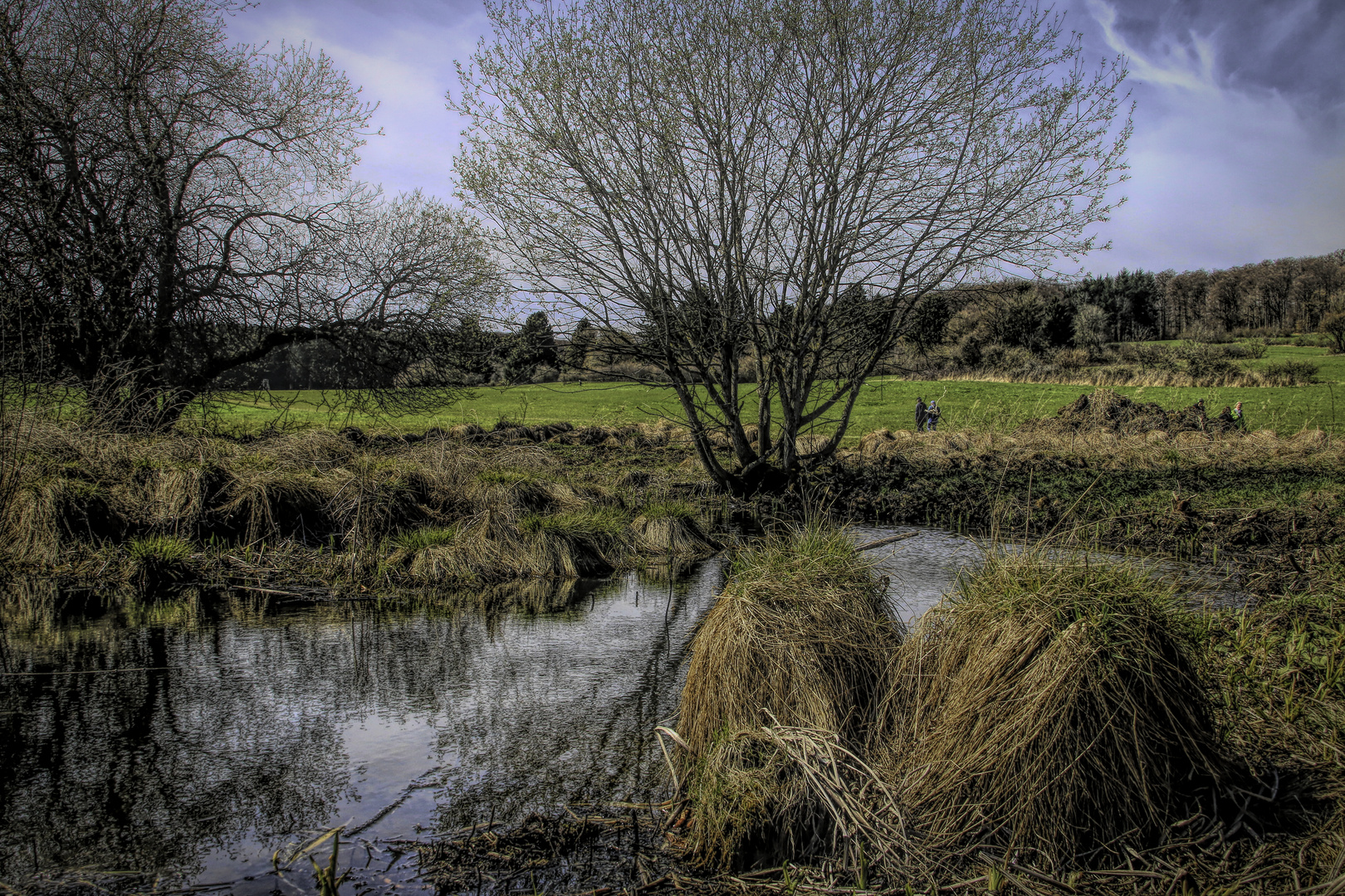 Impressions of Moore - Schopflocher Moor