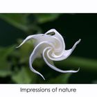 Impressions of nature