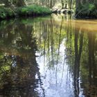 Impressions of Nature (Estetal bei Tostedt)