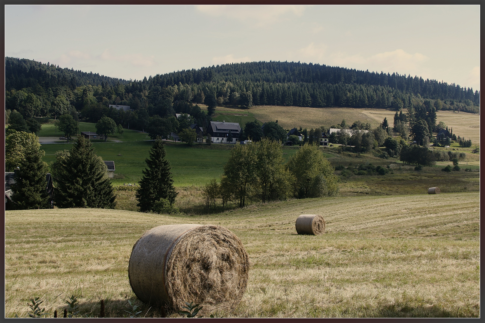 Impressions of Saxonia - Erzgebirge bei zinnwald -2016