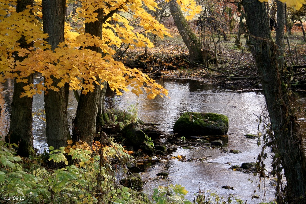 Impressions of Sweden in autumn III