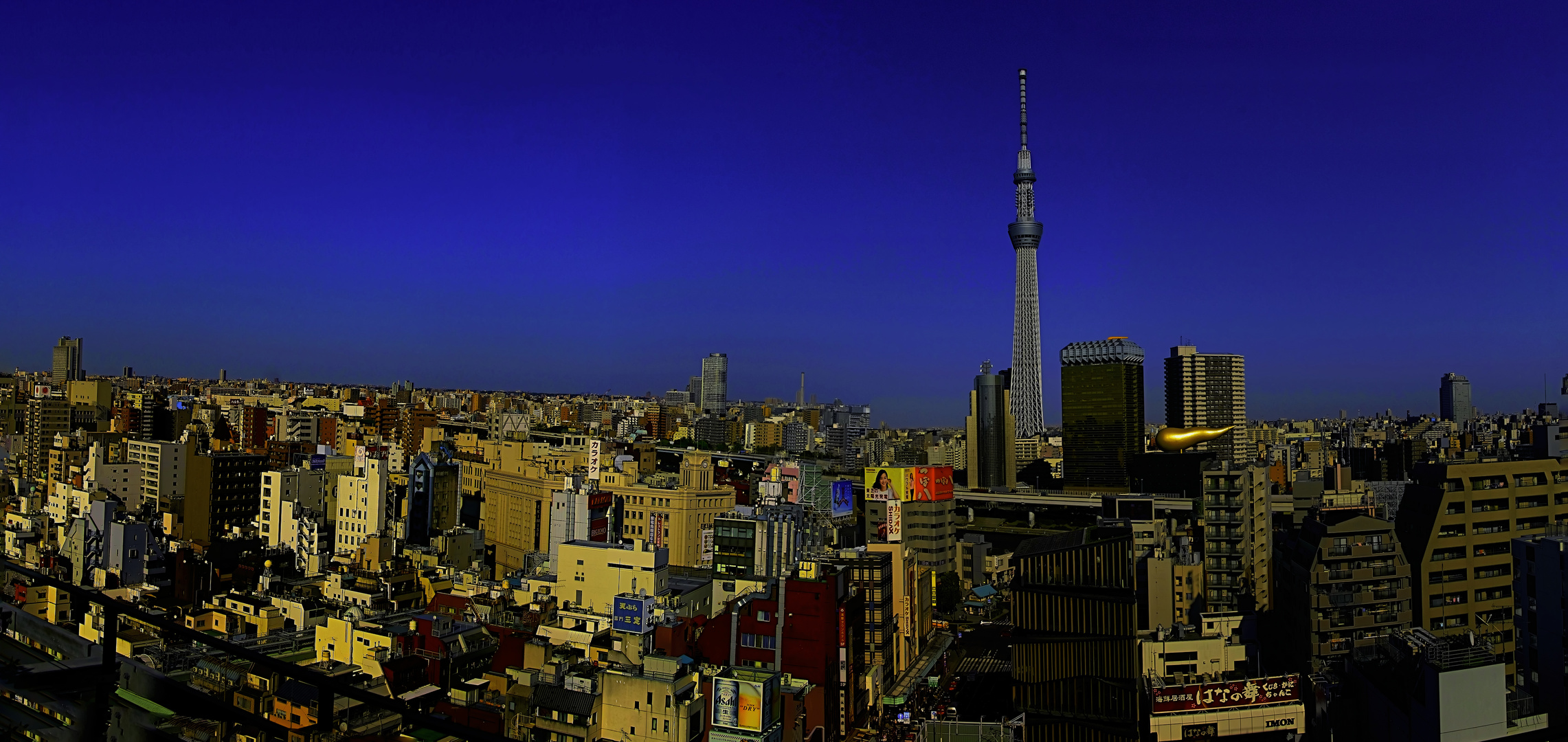 Impressions of Tokio - Motiv vom Weltenbummler - Fernweh