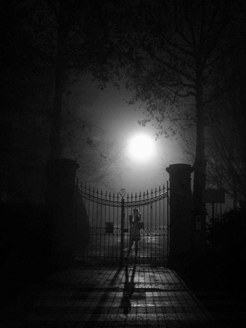 Imprisoned By The Night