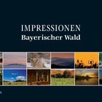 IMRESSIONEN BAYERISCHER WALD III