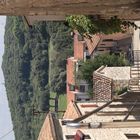 Imrpressionen Istrien 2025