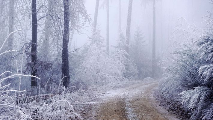 In 1 bis 2 Stunden .....