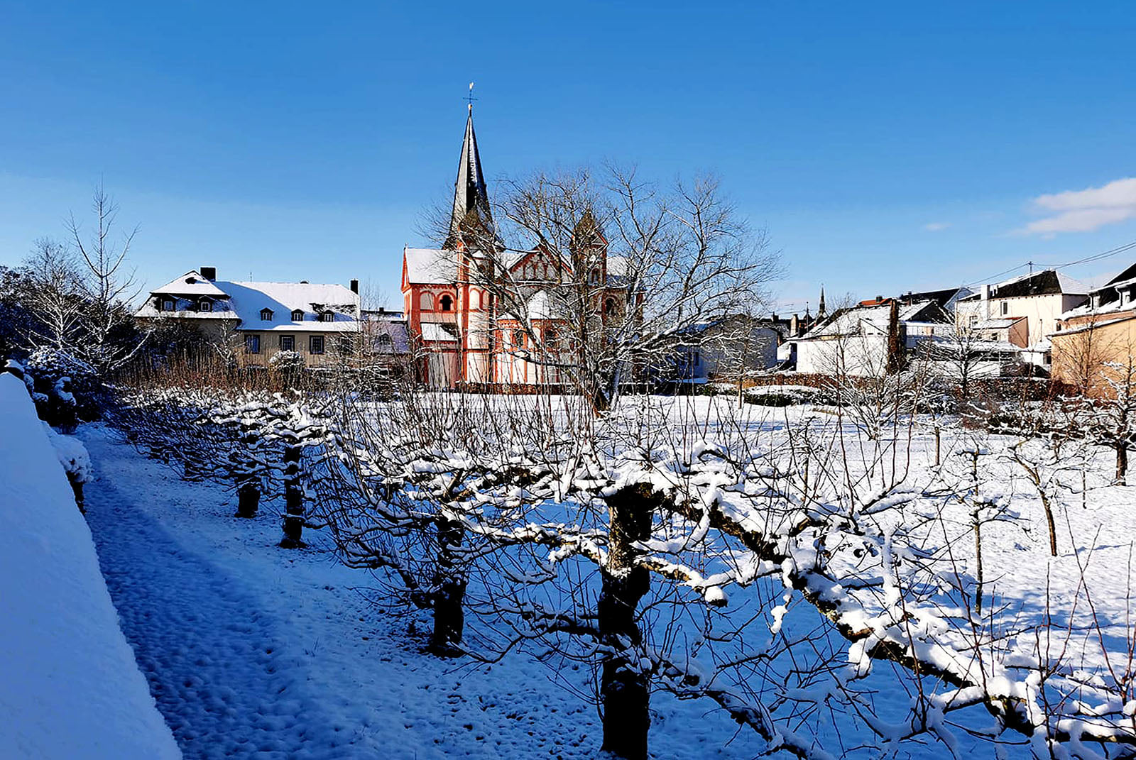 In 37 Tagen ist Frühlingsanfang. 