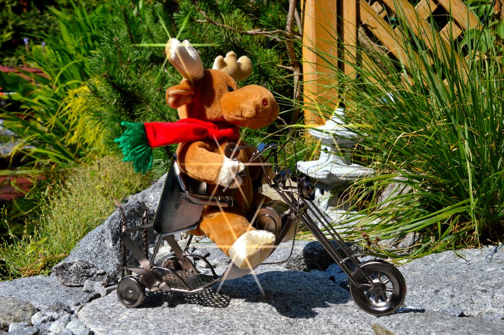 In 4 Monaten ist Weihnachten Foto & Bild autos & zweiräder, trikes, verkehr & fahrzeuge Bilder In 4 Monaten ist Weihnachten Foto & Bild autos & zweiräder, trikes, verkehr & fahrzeuge Bilder