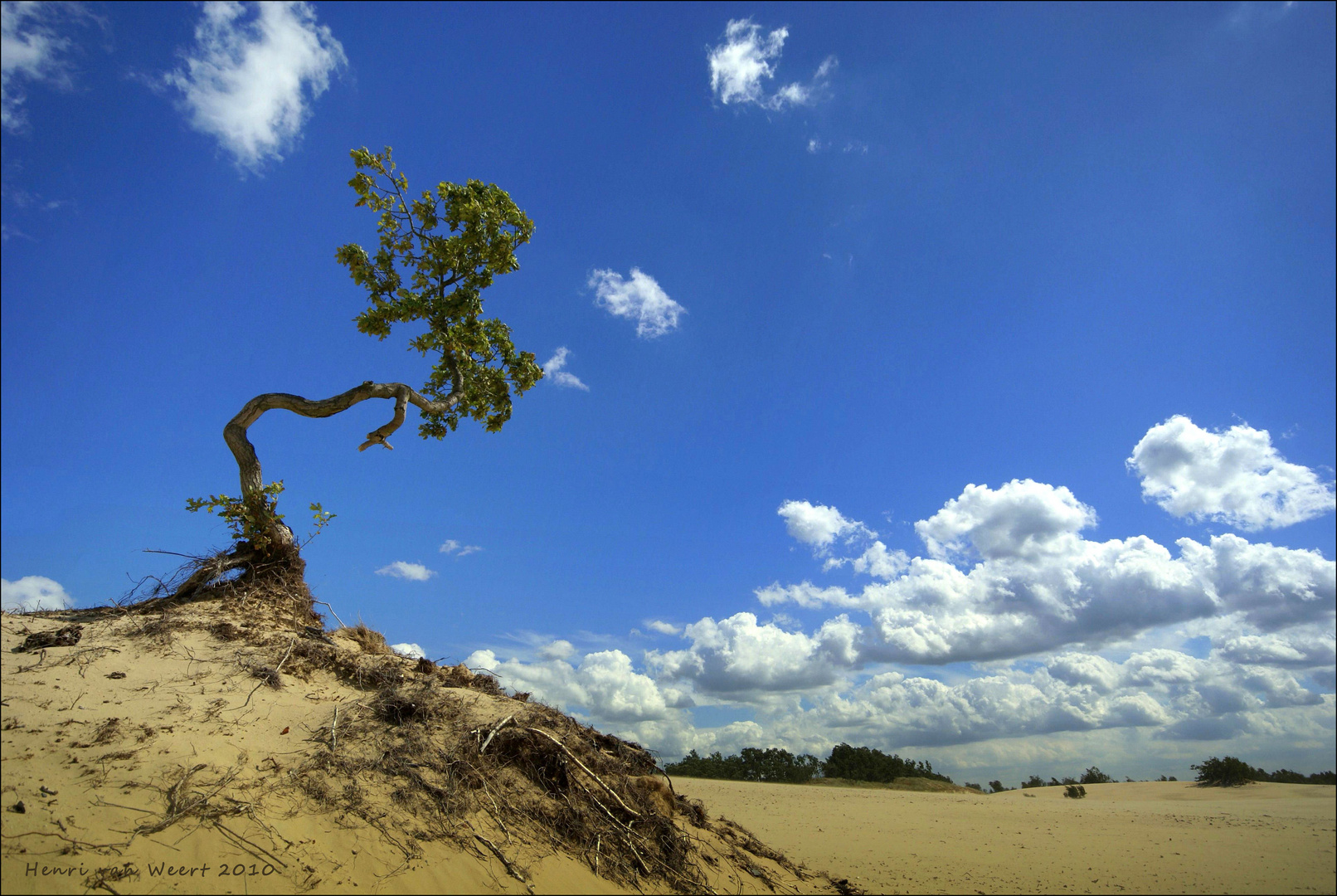 In a Dutch desert