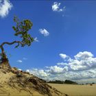 In a Dutch desert