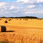 in a field