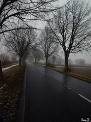 In a foggy day