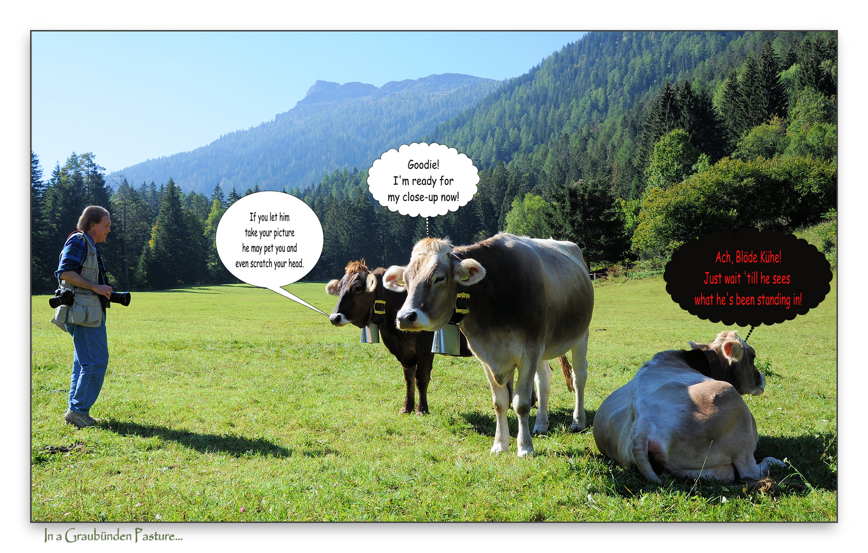 In a Graubünden Pasture...