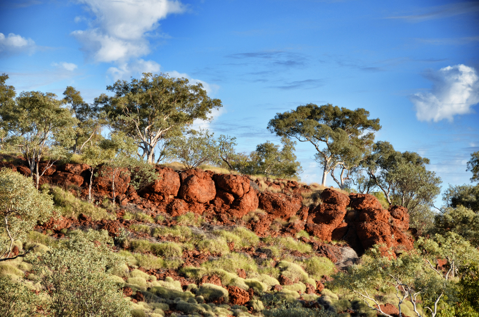 In a sunburnt country