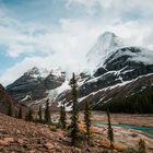 In a valley of Mt. Robson 