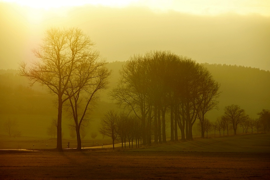 In Abendlicht