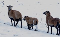 In Afrika ist Muttertag