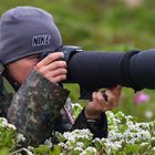 .................in Aktion.......................