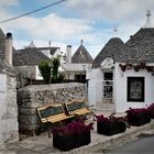 - in  ALBEROBELLO  ...