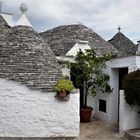 in ALBEROBELLO dieser ..