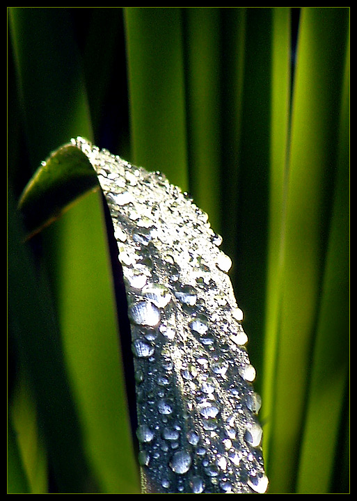 In aller Früh