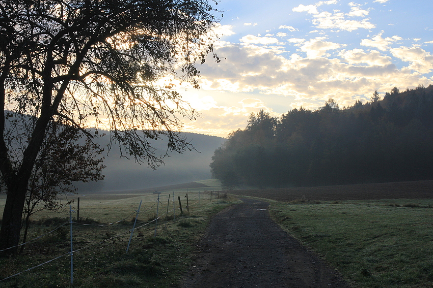 In aller Frühe