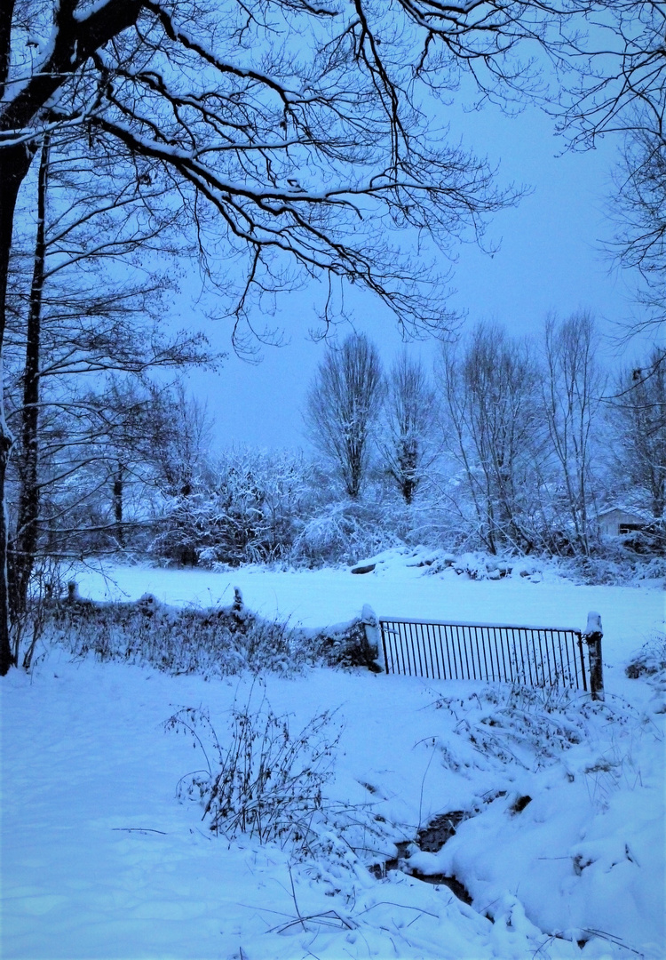 In aller Frühe zur Blauen Stunde - Schnee im Winter 2010/2011