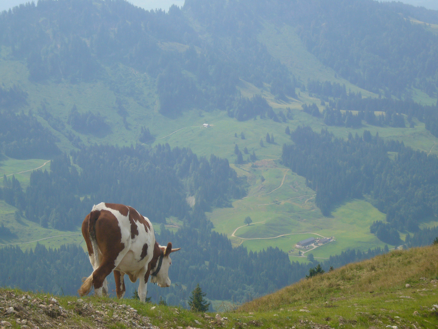 In Allgäu