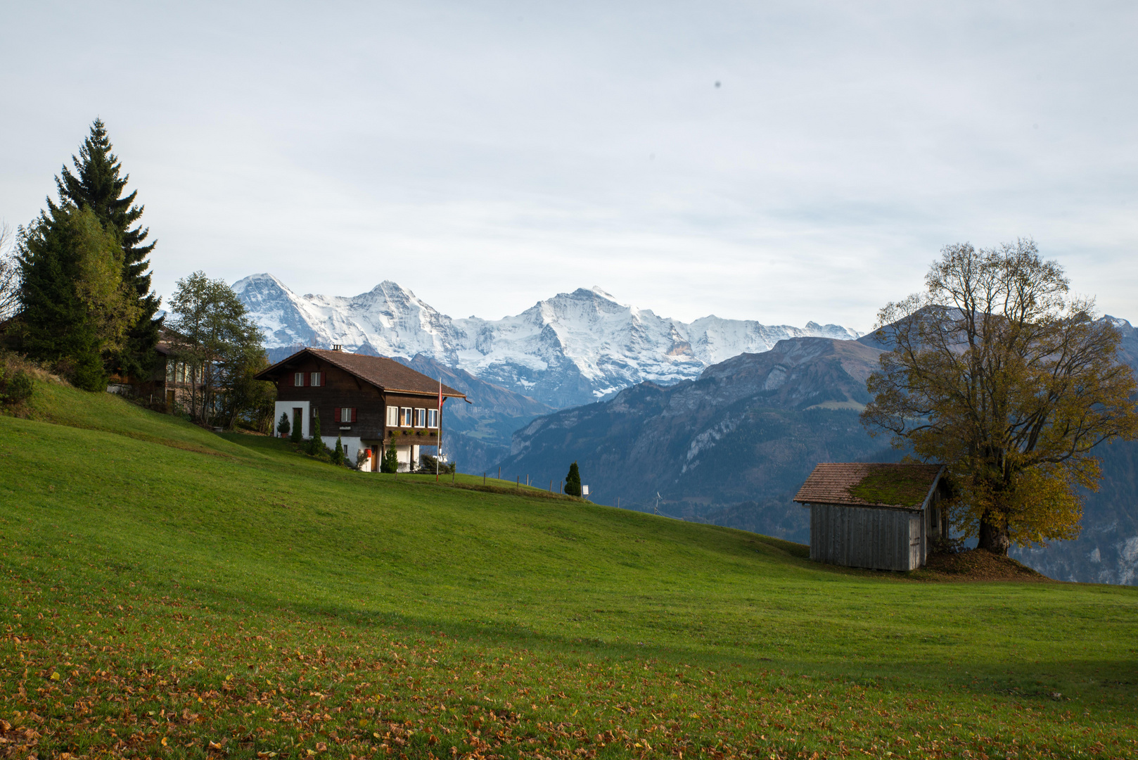 in Alpen (Schweiz) !