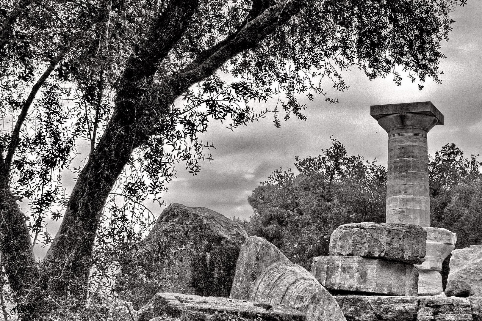 In Ancient Olympia (3)