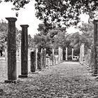 In Ancient Olympia