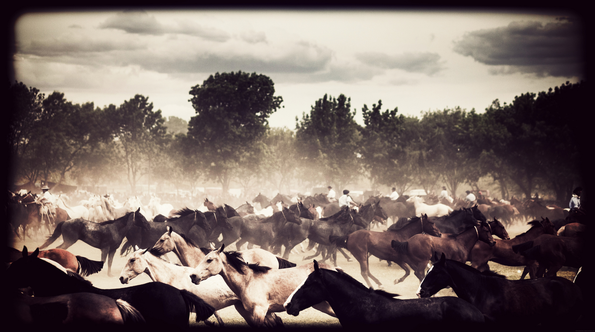 In Argentina / San Antonio de Areco