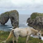 In Asturien am Meer