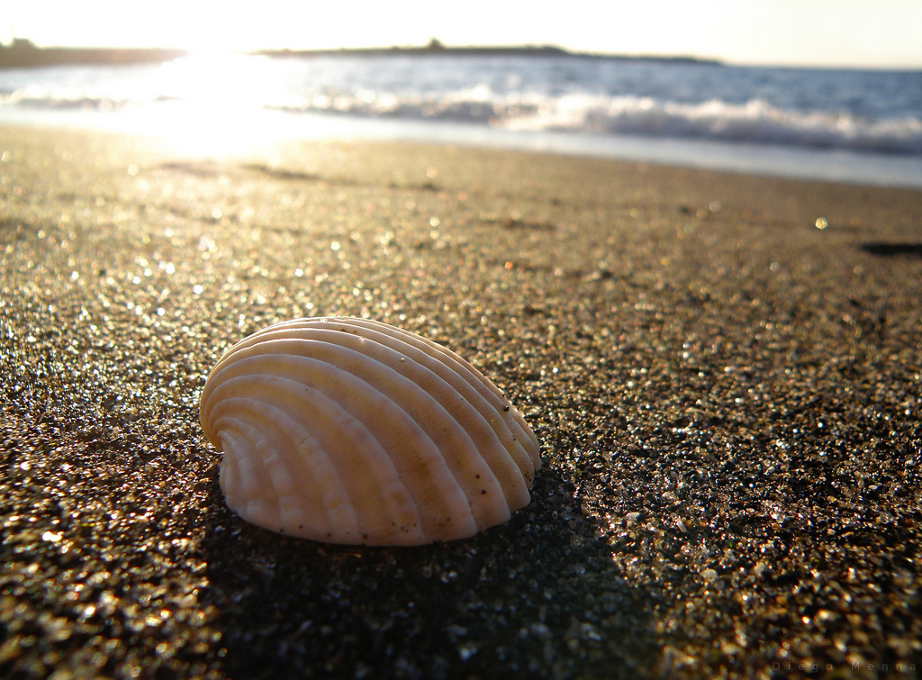 "In attesa dell'eterno mare"