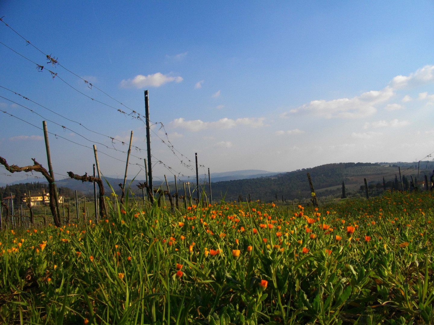 In attesa di giornate così