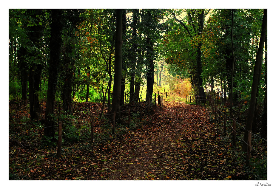 " In Autumn walk with mirror of the soul. "