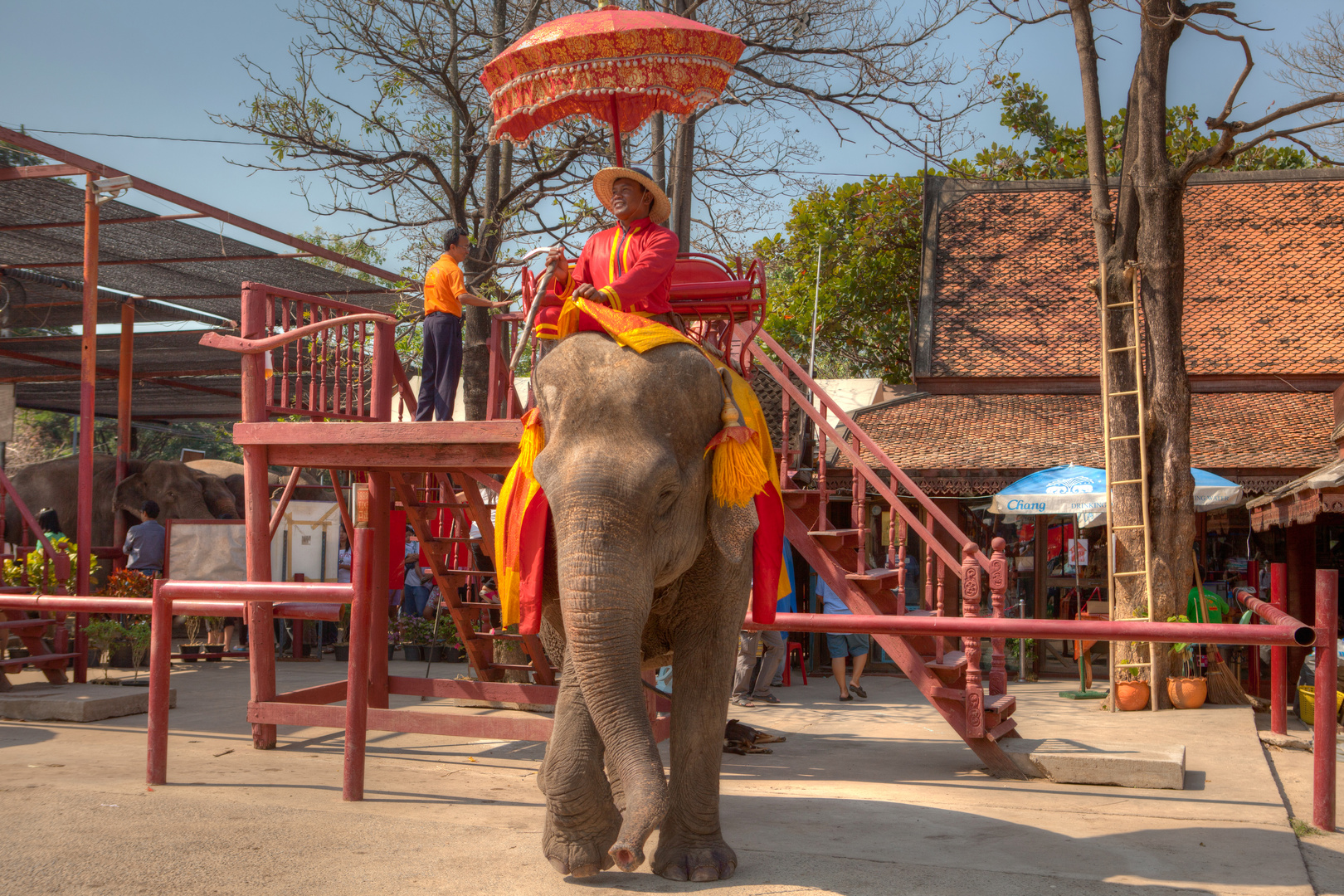 In Ayutthaya - ehemalige Hauptstadt von Siam