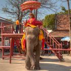 In Ayutthaya - ehemalige Hauptstadt von Siam