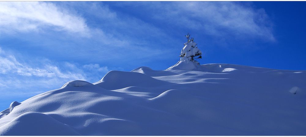 In Balance zwischen Anpassung und Widerstand