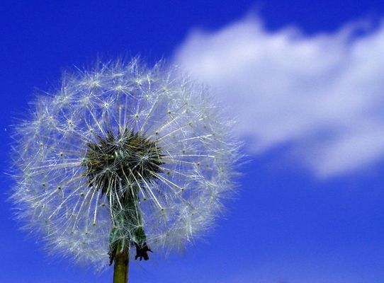 In balia del vento... come una nuvola